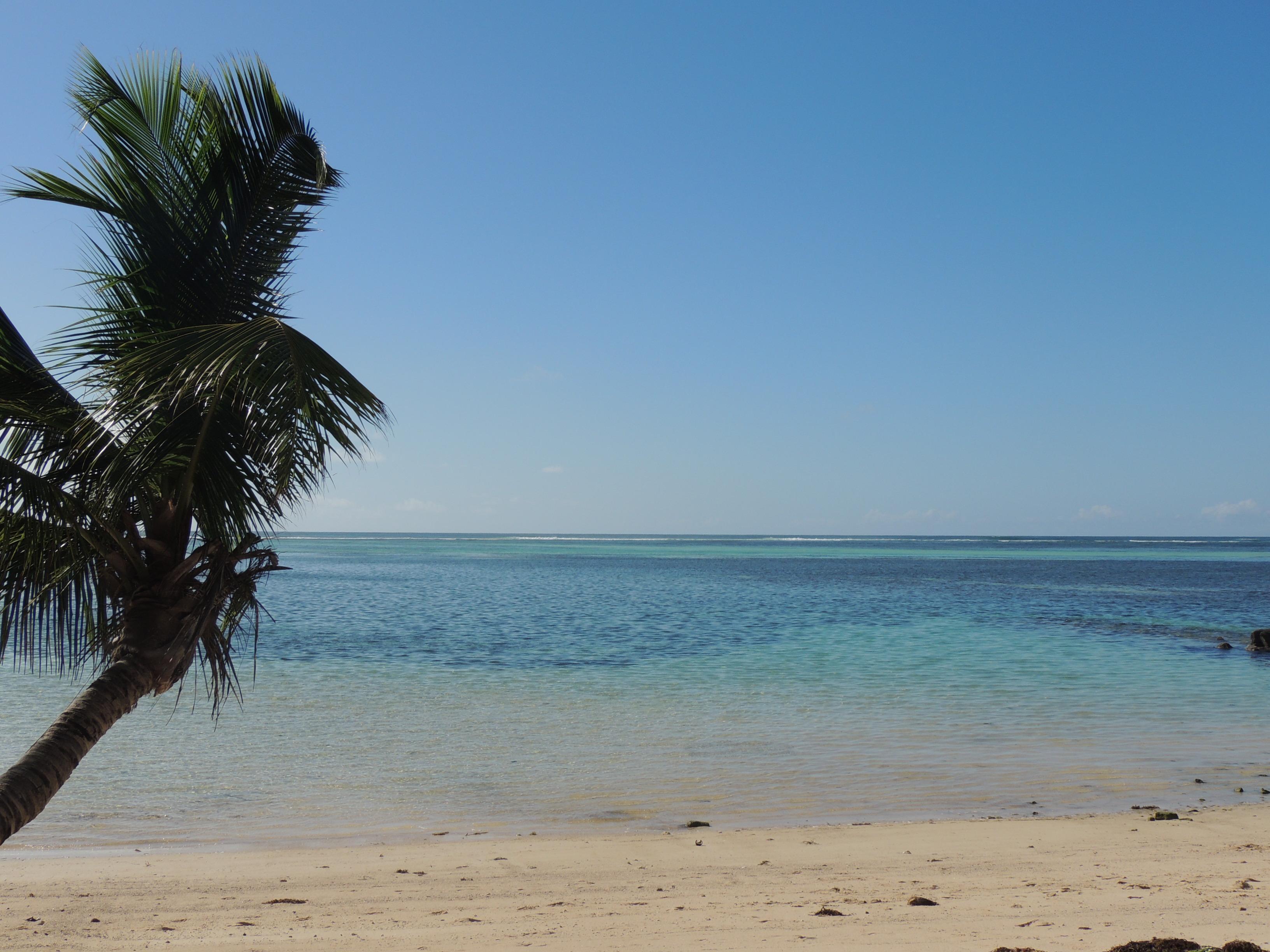 Reef Anse aux Pins