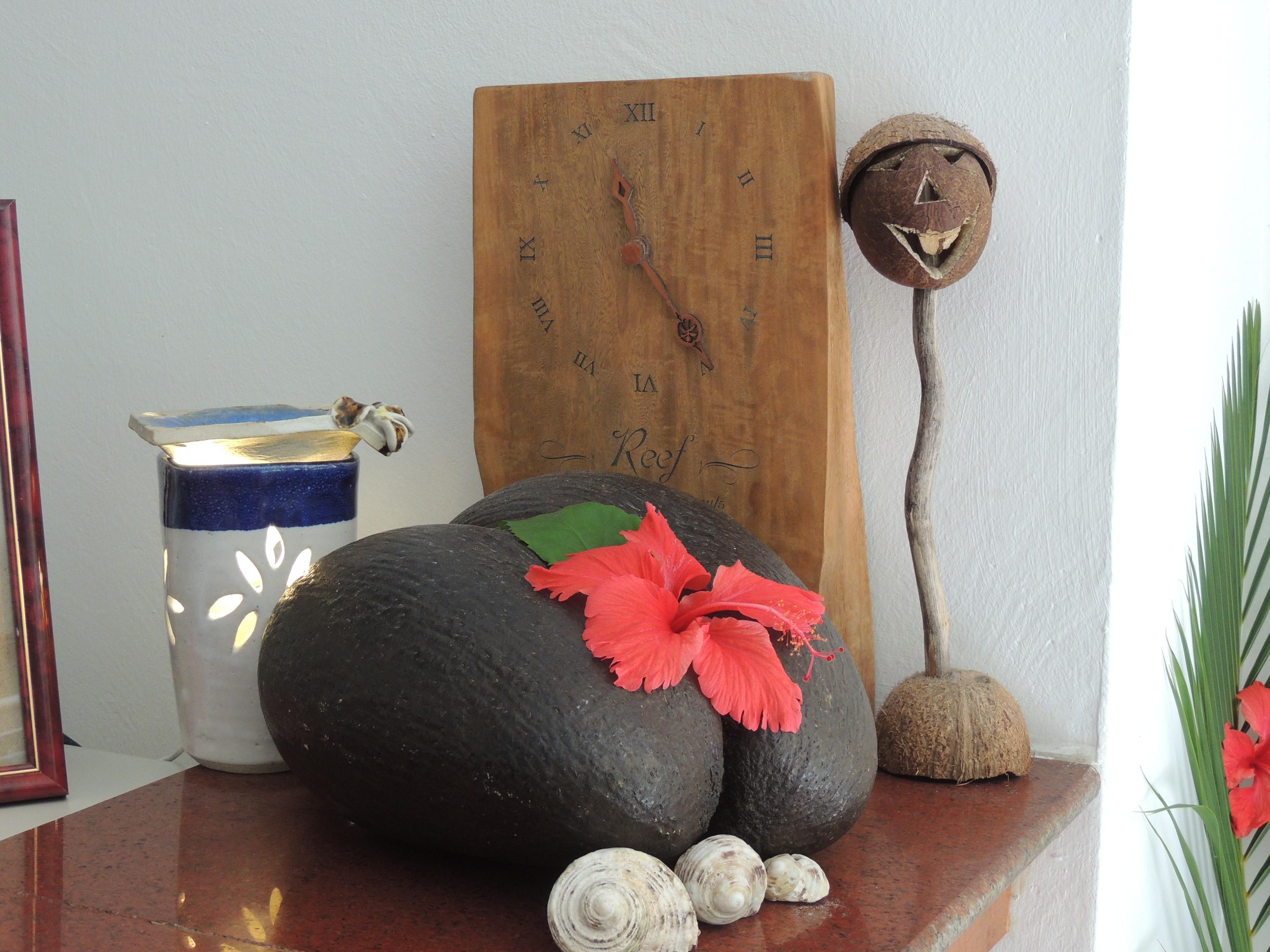 Reef * Anse aux Pins